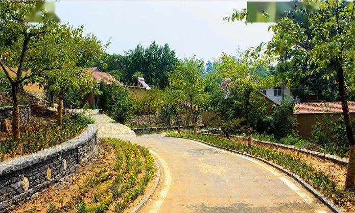 平邑村庄搬迁最新消息，小巷深处的味觉奇遇