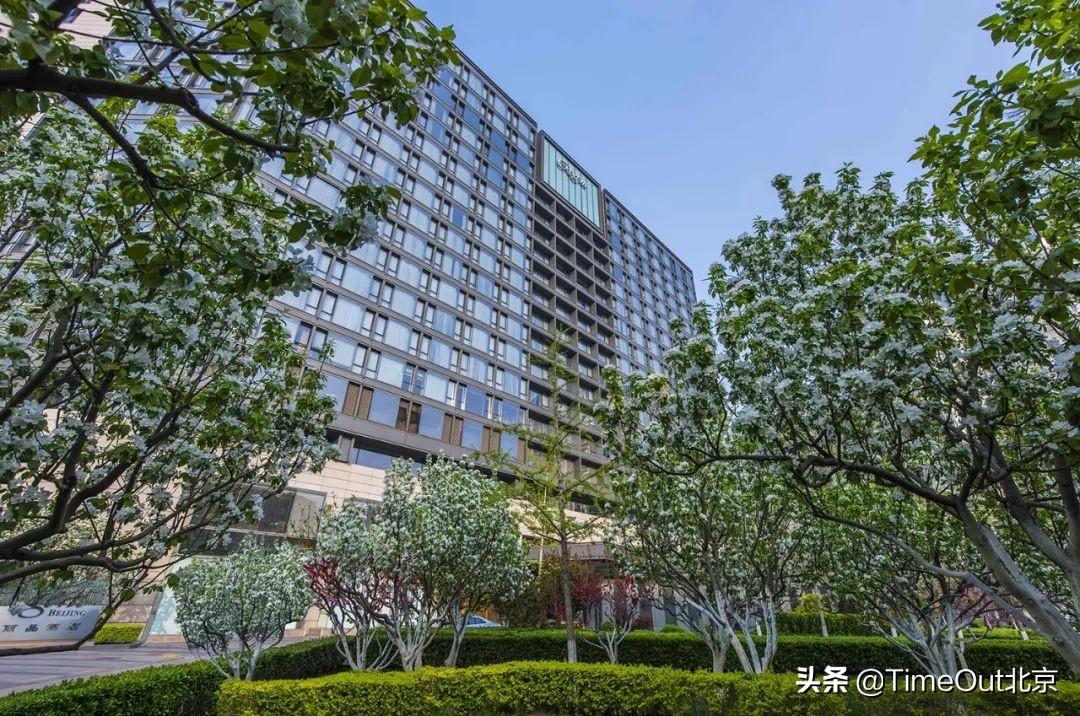 呼市地铁最新动态,探寻小巷风情与隐秘宝藏