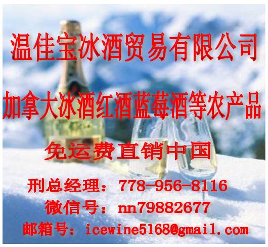 运管新篇章,财政纳入下的温馨日常