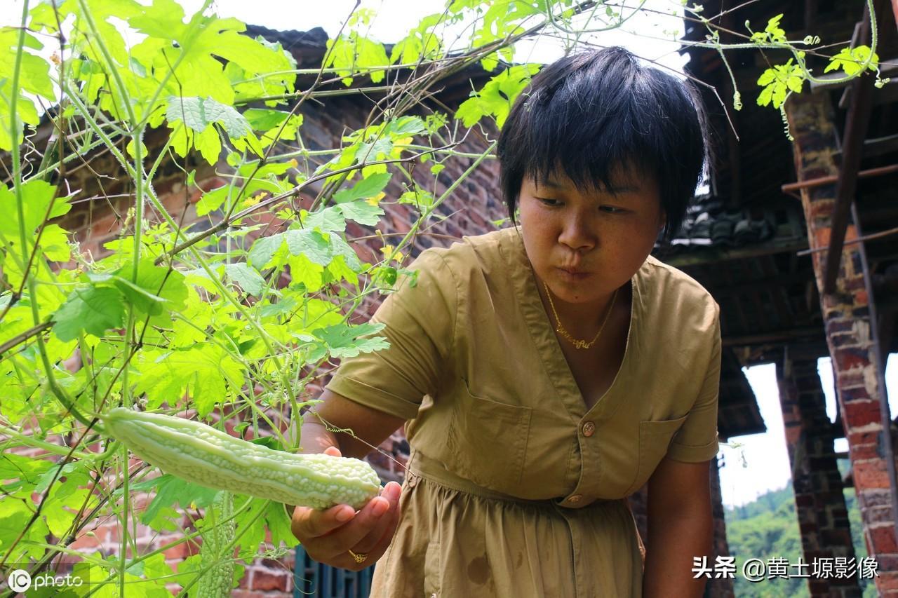 深圳弃婴岛最新动态,与自然美景的邂逅,心灵平静之旅