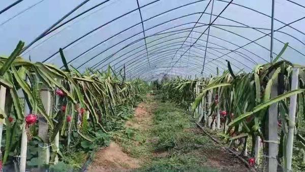 离心式冷水机组 第570页