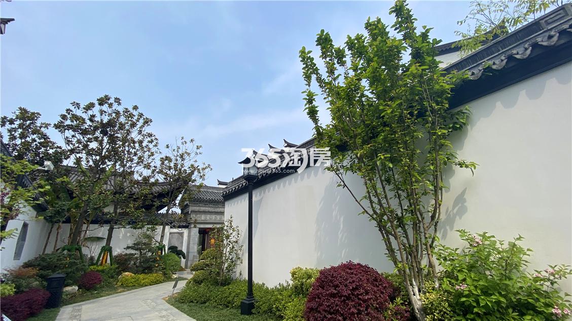 伟星和院最新房价及深度分析