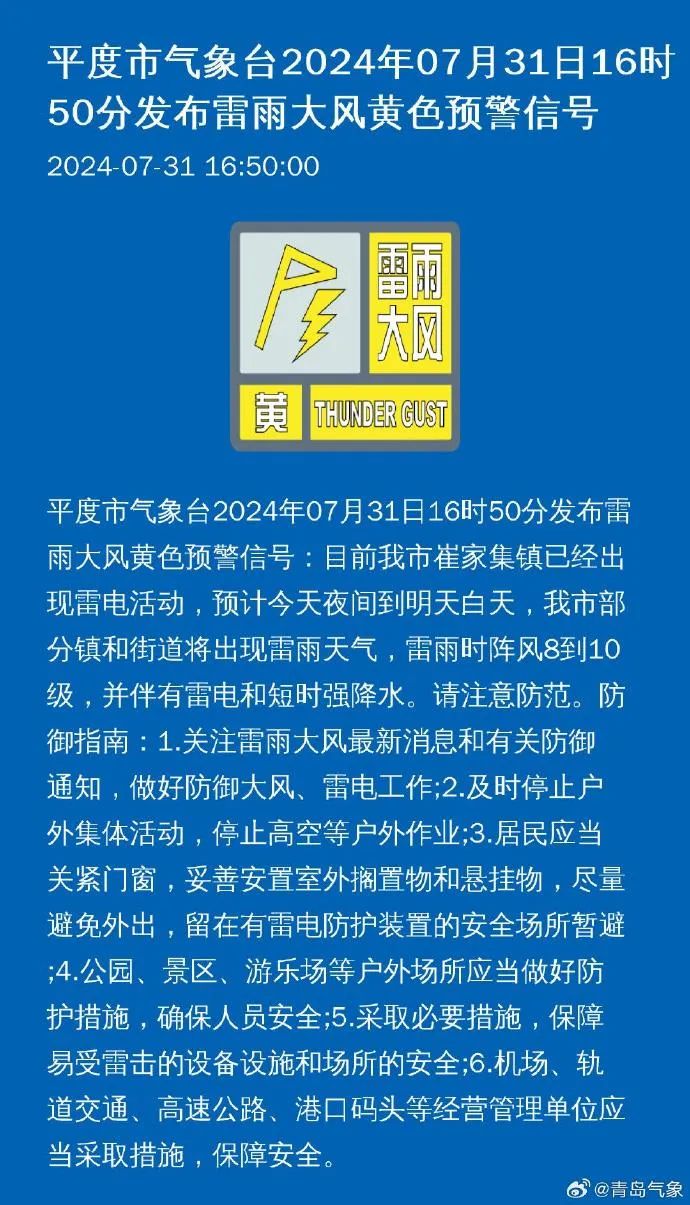 下岗志愿兵最新消息综述，深度解析与最新动态
