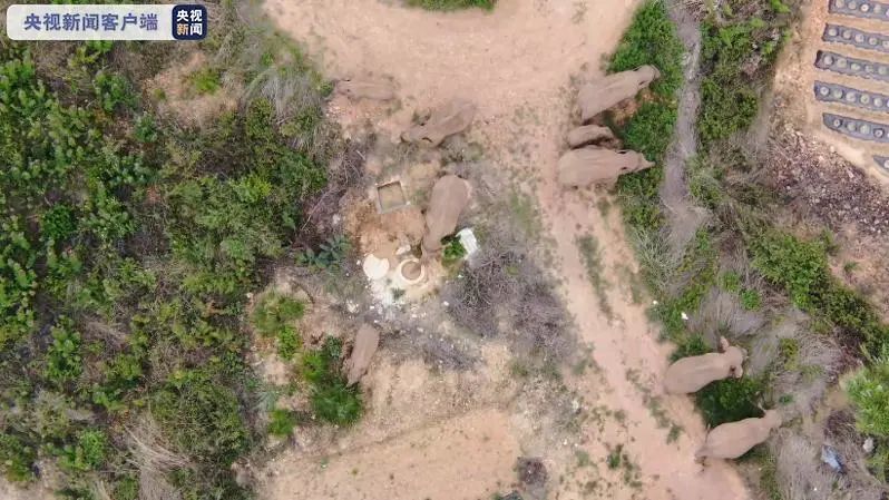 沃野互助盘最新动态与小巷独特风味探秘