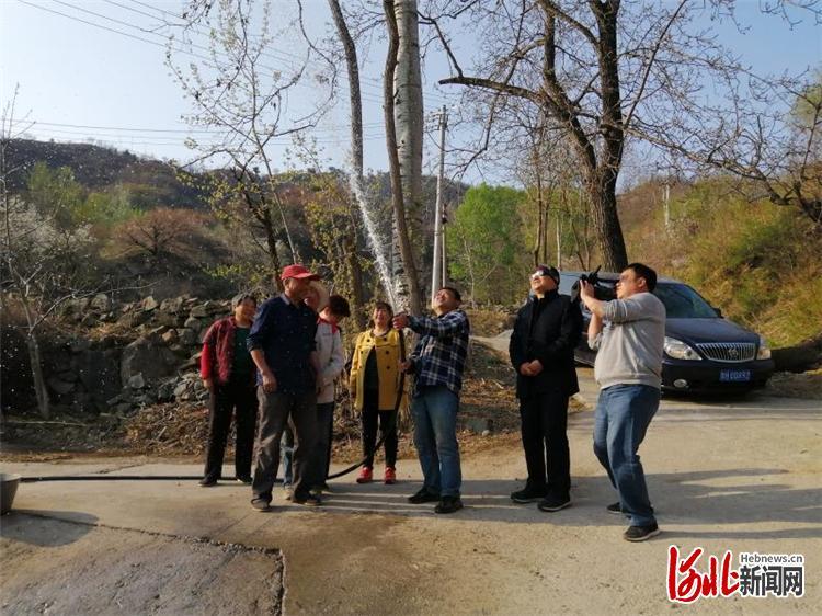 保定易县新闻多维探讨与观点阐述最新消息