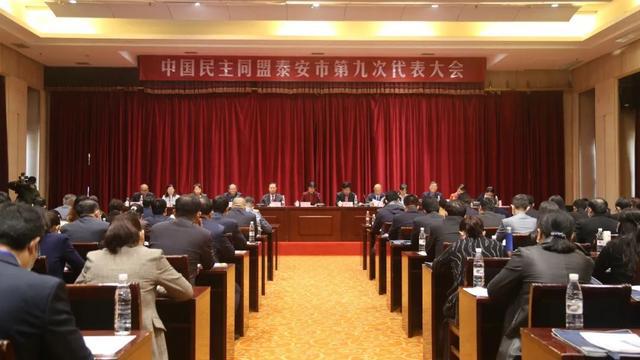 泰安市委领导新阵容亮相，领导力新面貌与小巷独特风情并存的变革