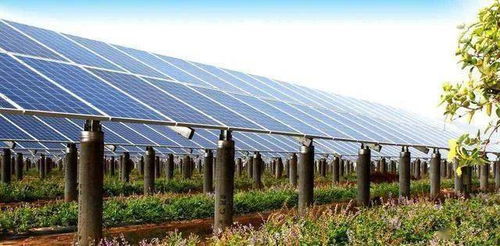 最新农村养殖用地政策下的田园生活与趣事