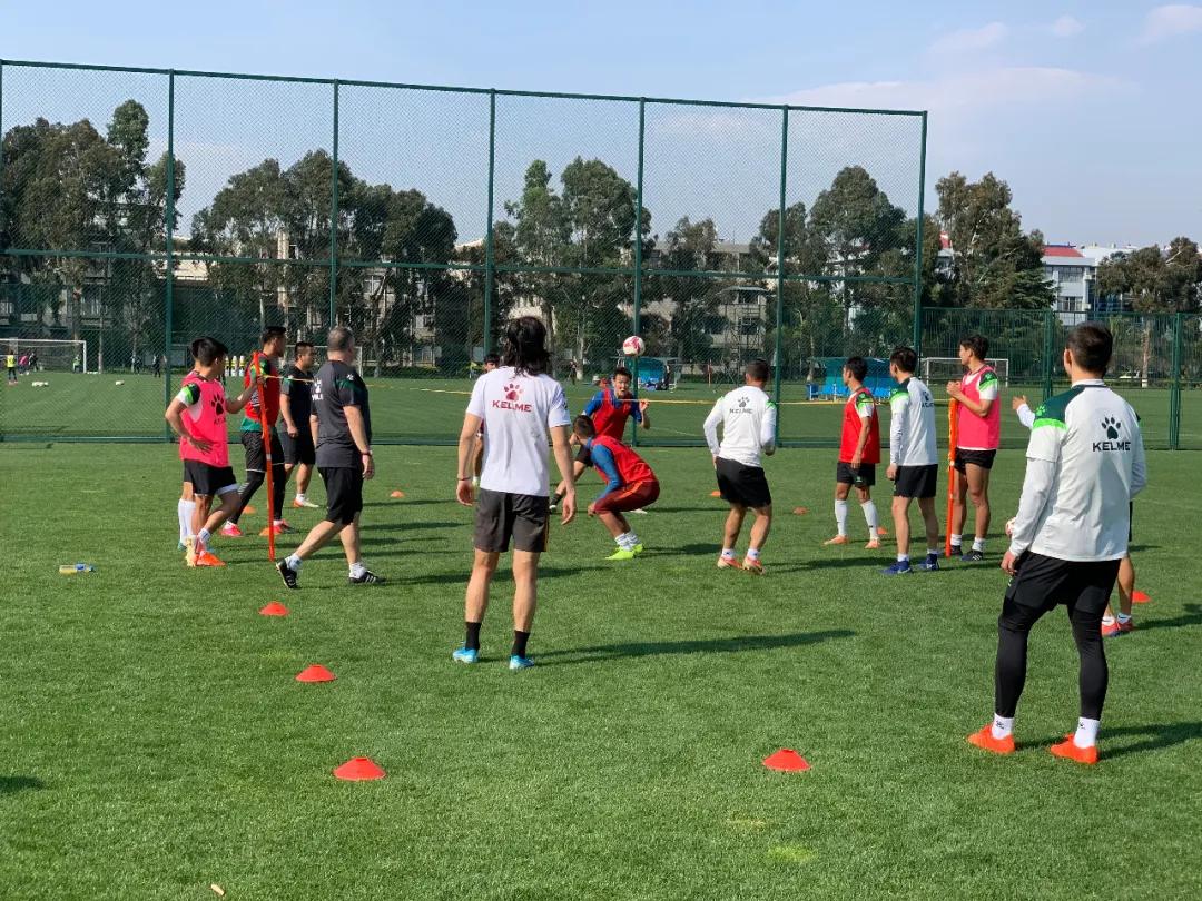 新疆天山雪豹最新动态及相关论述揭秘