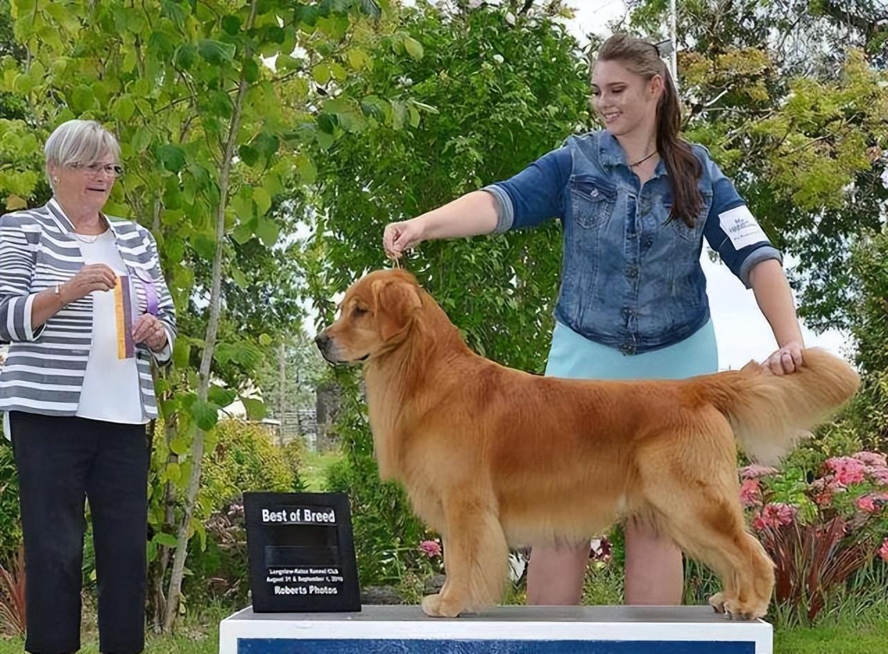 徐州金色年华最新房价及解析报告