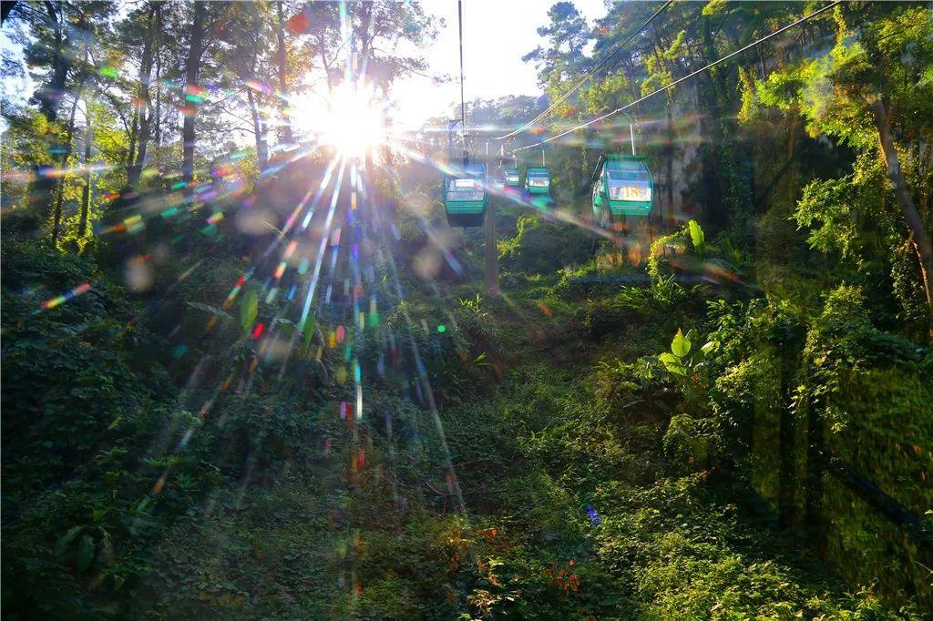 桂平出租房最新动态,蜕变家园,梦想启航之地