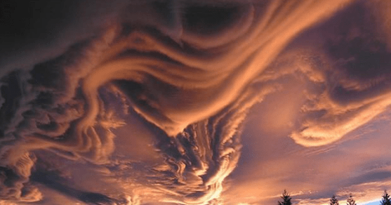 新奥天天免费资料四尾,即时解答解析分析_XJL79.210目击版