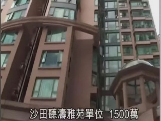 金林雅苑最新动态，巷弄美食奇遇揭秘