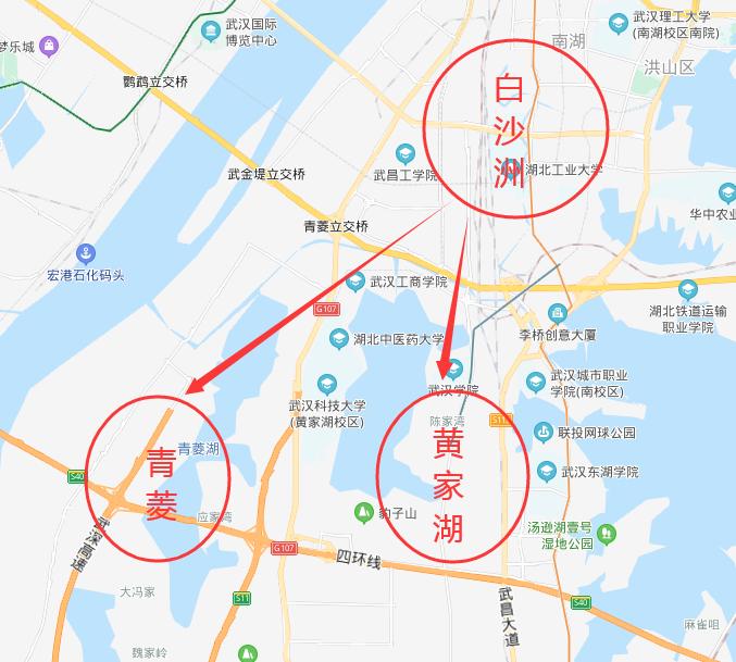 白沙洲万达最新动态揭秘，最新进展与惊喜活动！