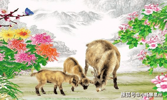 今晚澳门开三肖兔羊蛇,揭秘APEC_KHK79.274教育版