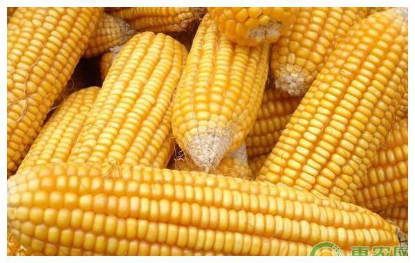 3台空气处理机组 第557页