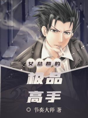 终极高手叶枫，小巷神秘美食探险的最新章节