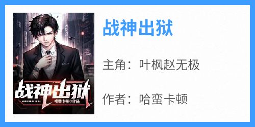 终极高手叶枫,小巷神秘美食探险的最新章节