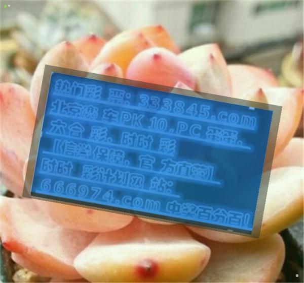 管家婆一码一肖100中奖,高速响应计划执行_UNT79.990国际版