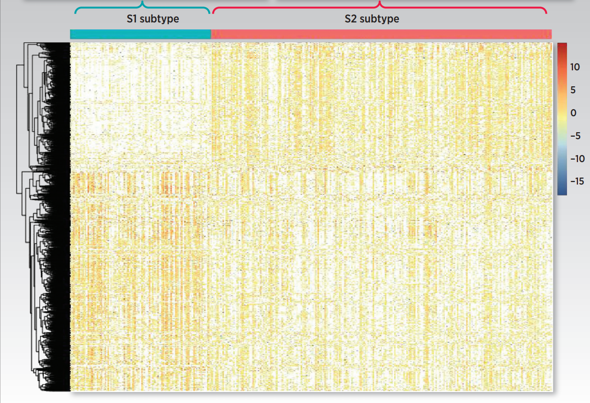 澳门濠江论坛免费下载,数据整合解析计划_LHD79.700套件版
