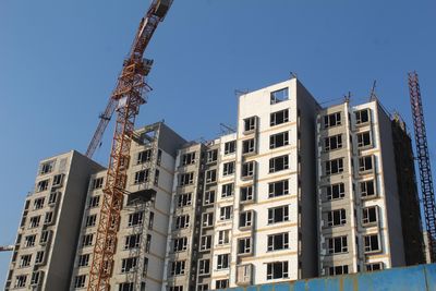 融鼎御品最新动态揭秘,小巷美食秘境探秘之旅