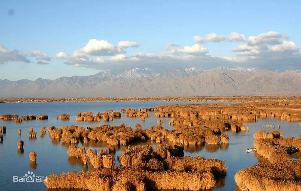 宁夏沙湖机场最新动态，探索自然美景之旅，寻觅内心宁静与平和