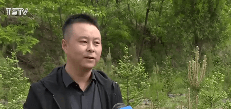 2024澳门正版今晚开特马,推动策略优化_QOT79.157用心版