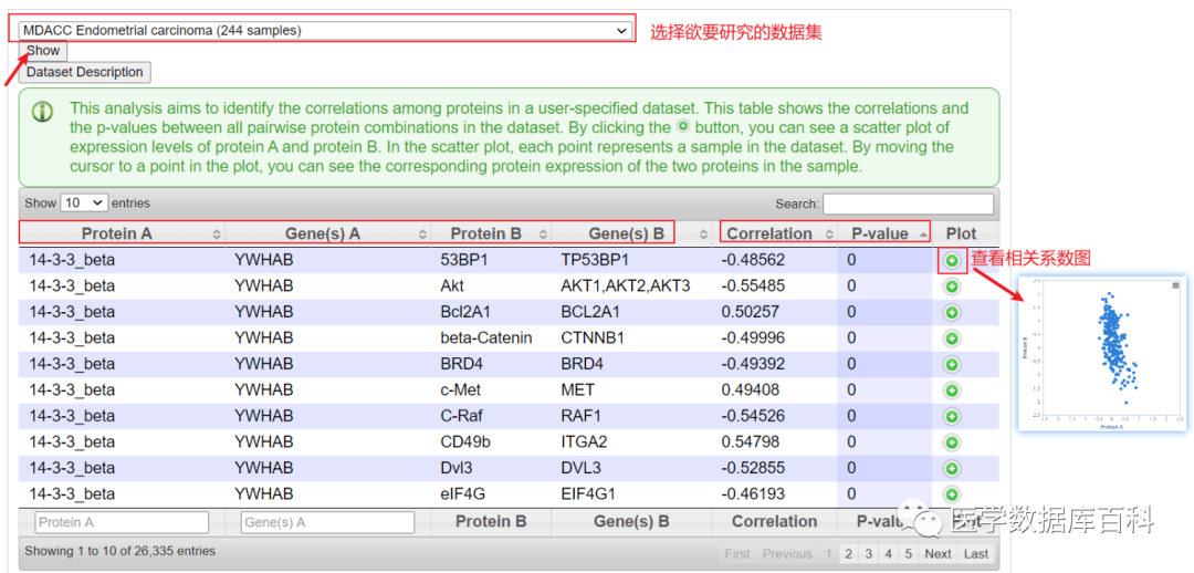 新澳好彩免费综合资料,数据驱动方案_IPT79.534生活版