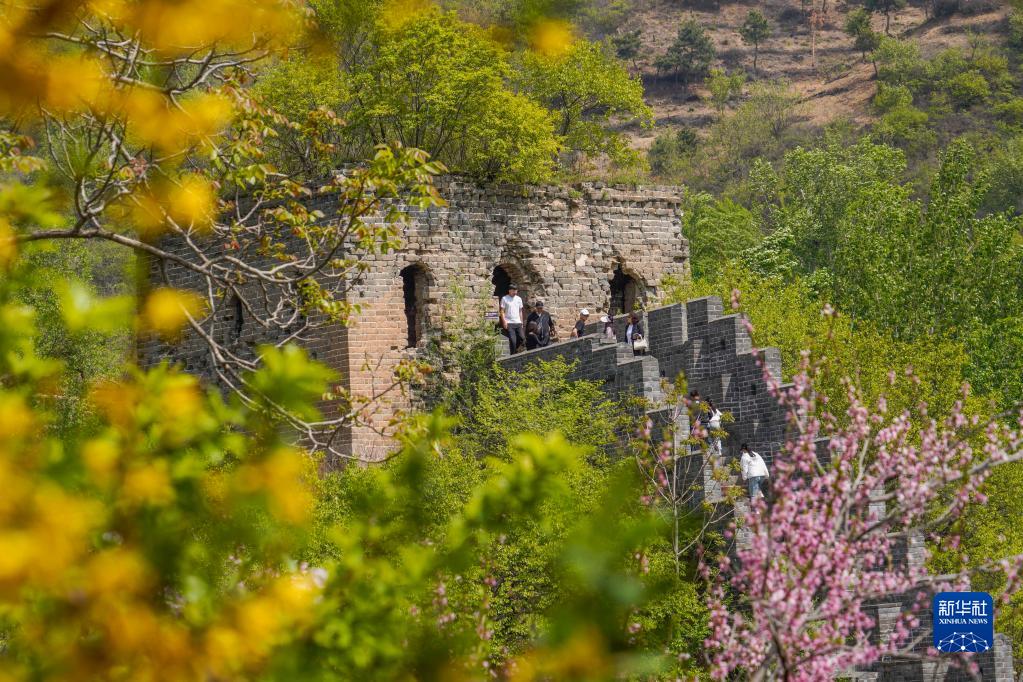 李仕军旺苍最新消息，自然美景探索之旅，追寻内心平和与宁静的旅程