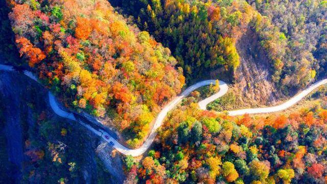 李仕军旺苍最新消息,自然美景探索之旅,追寻内心平和与宁静的旅程