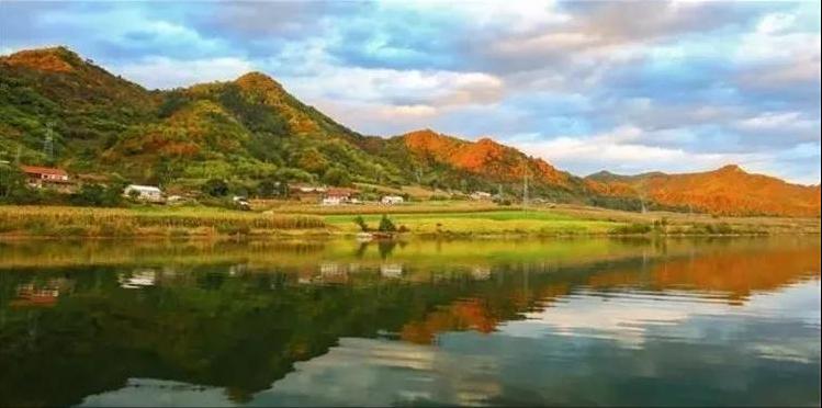 最新20万大额存款利息背后的自然美景探索之旅