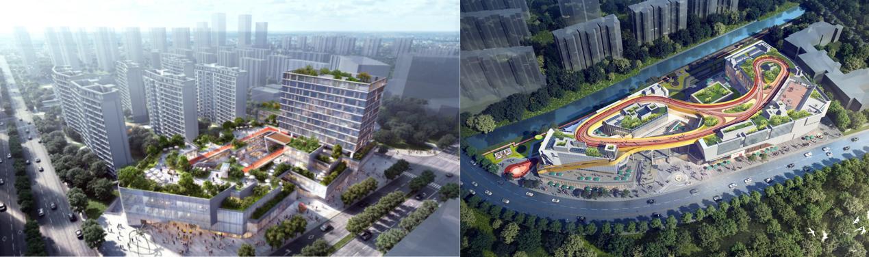 上海临港新城邻里温馨日常最新消息揭秘