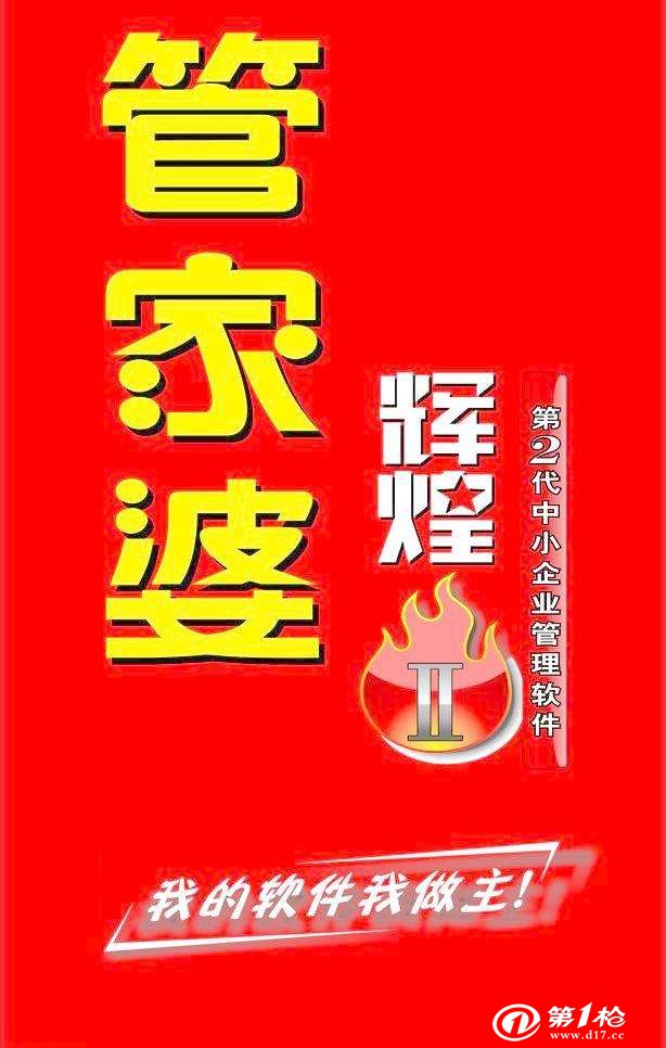 2024年香港管家婆资料图,持续改进策略_ZDT79.238品牌版