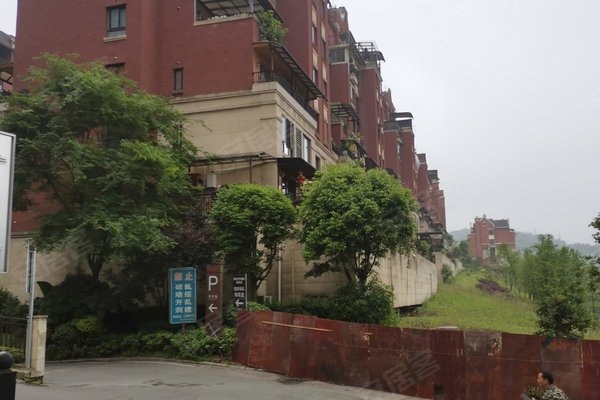 重庆金科天宸最新房价揭秘与巷弄特色小店之旅