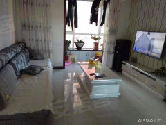 武清杨村二手房探寻，小巷隐藏的特色小店故事揭秘