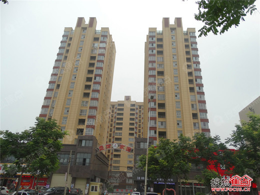 滕州盛世家园最新动态，崛起中的社区未来展望