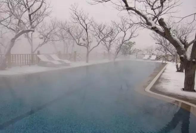 萧少豪门妻子最新探索自然美景之旅