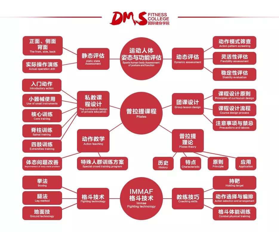 杨东麒最新动态与成就，聚焦前沿，共创未来之路