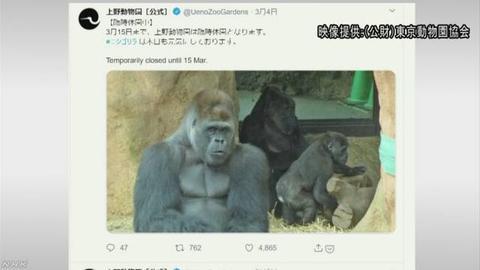 香香疫情最新动态更新