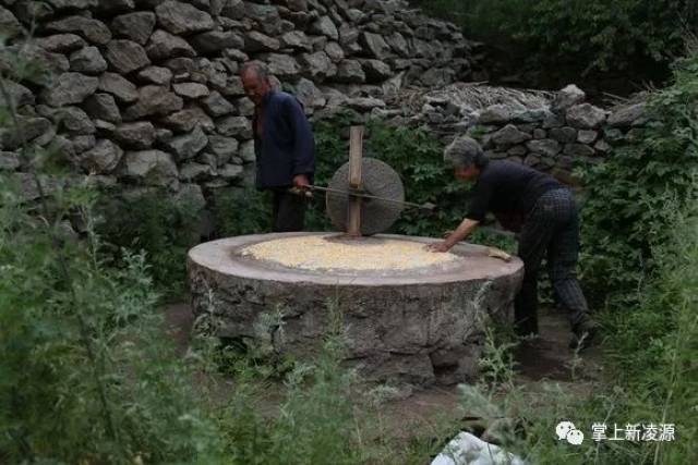 复盆子价格揭秘，小巷深处的惊喜探索