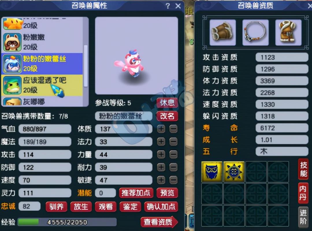 剑神最新加点步骤详解与指南
