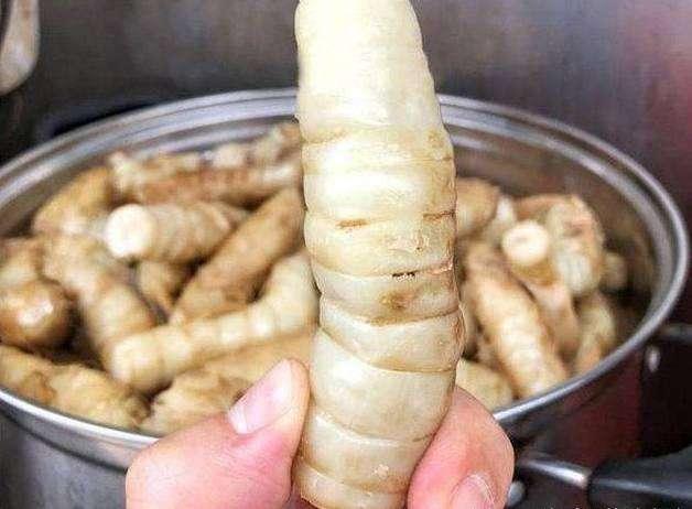 小巷深处的特色美食探秘，最新大虫子揭秘！