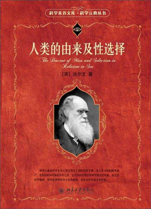 最新经典伦理，背景、影响与地位深度探寻