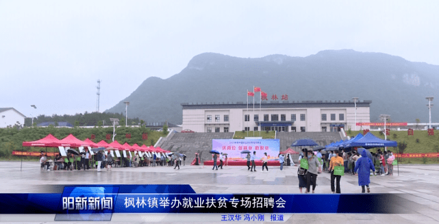 阳新县枫林镇最新动态报道