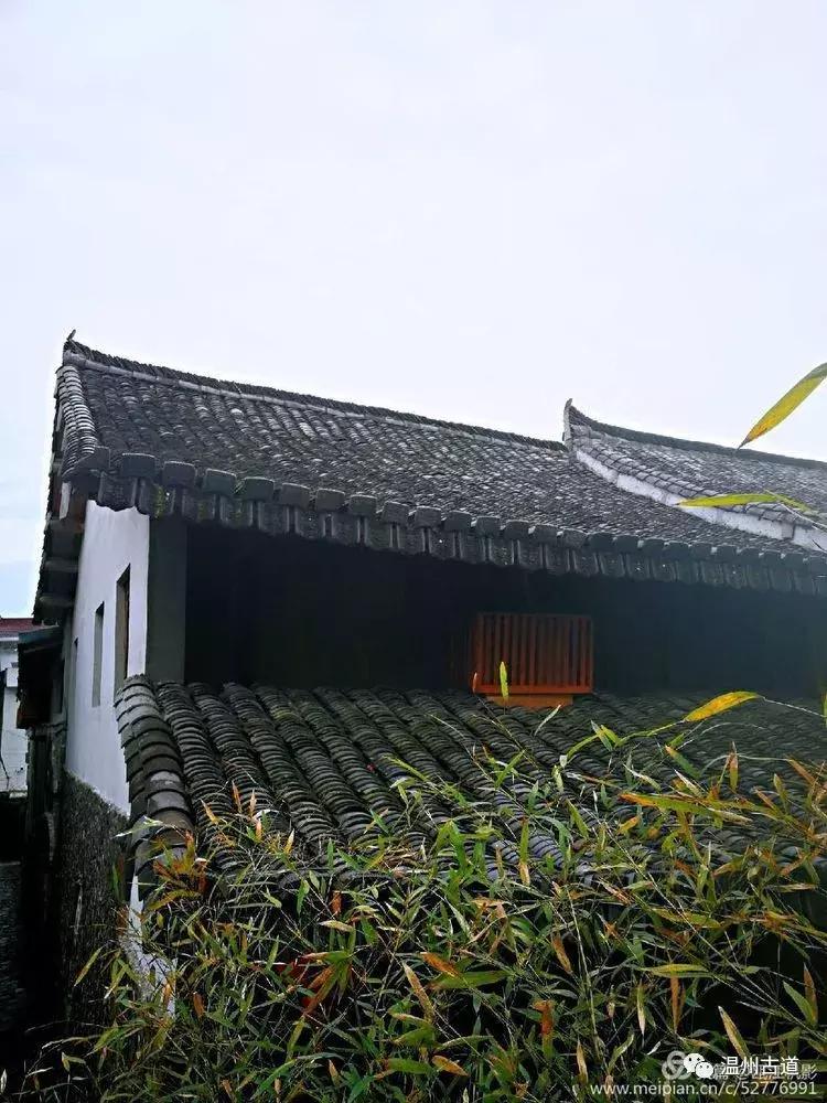 机场最新，巷弄深处的隐藏瑰宝——独特小店探访