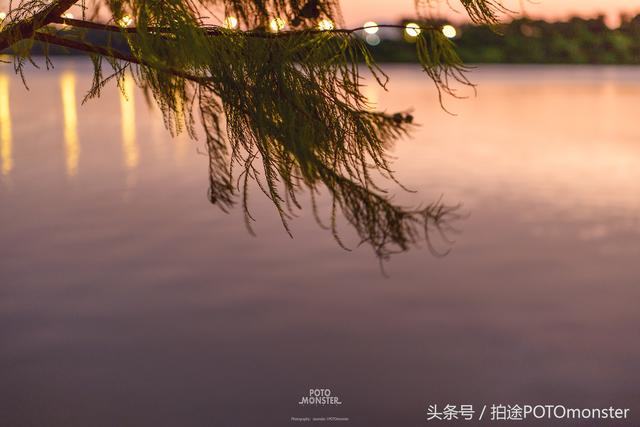 第247页