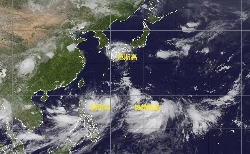 浙江台风最新局势，风雨中的励志篇章