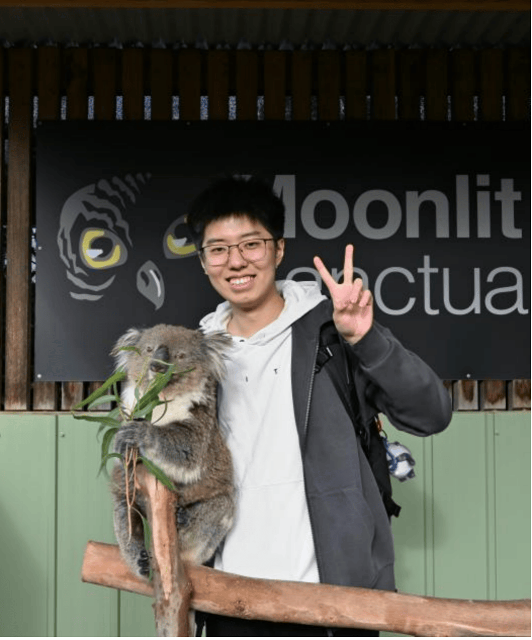 聂傲双最新探索之旅，自然美景的心灵抚慰与内心平和的追寻
