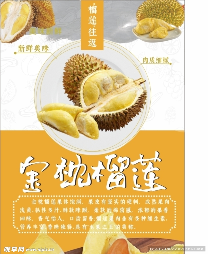 金枕榴莲最新论述解析