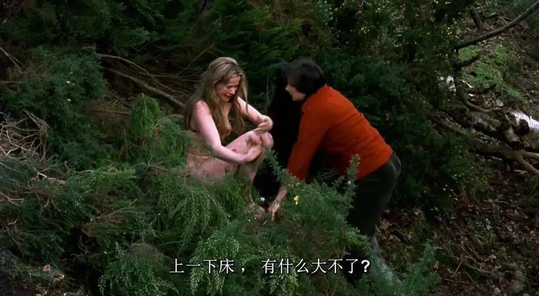 最新理伦影片，探索自然美景，寻找内心平和的旅行