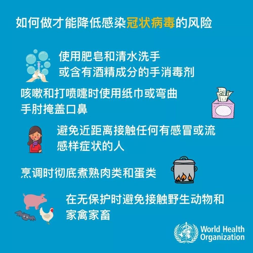 返甘政策最新解读，顺利回家的指南